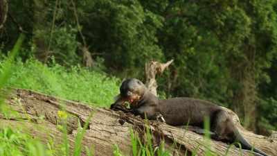 I heard that. - When Nature Calls with Helen Mirren