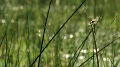 I heard that. - When Nature Calls with Helen Mirren