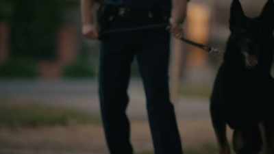 - I heard the call. I came to help, right? - Informer 3838