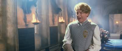 I heard you speaking Parse tongue.Snake language. - Harry Potter and the Chamber of Secrets