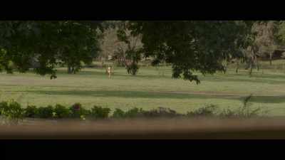 -I…
-I… - Fever Dream