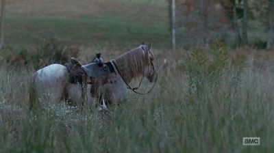Hey. - The Walking Dead