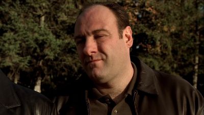 I was his surgeon, that's all. - The Sopranos