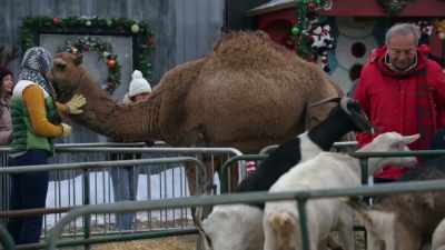 I honestly don't think
the first day - A Merry Christmas Wish
