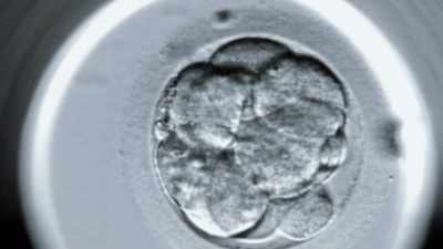I honestly would not expect
alien DNA to be much different than ours - Top Secret UFO Projects Declassified