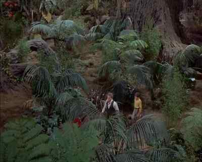 I hope this earring's
worth the trouble. - Land of the Giants