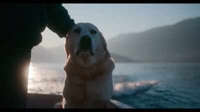 I hope he’s going to continue
to enjoy being my partner. - Dogs