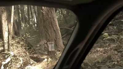 I hope that it's not traumatic for him
to come up here. - Murder Mountain