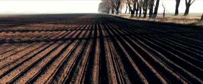 I hoped for something
challenging camera work, - Razzennest