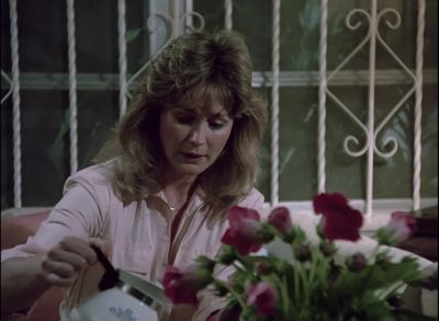 How's Billy takin'all this? - Miami Vice