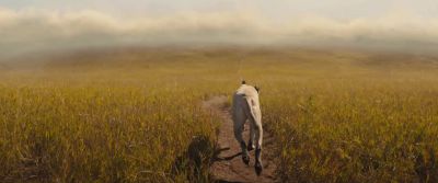 I had a good life with Joe. - A Dog's Journey