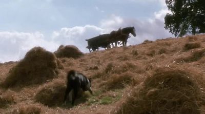 I I can - Animal Farm