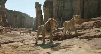 I...
I love listening. - Mufasa: The Lion King
