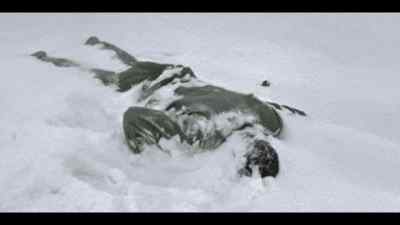I saw this corpse. - World War II: From the Frontlines