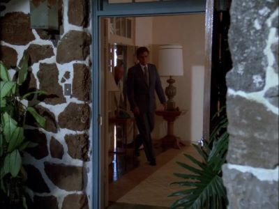 I-I TAKE IT, THEN,
MR. McGARRETT, - Hawaii Five-O