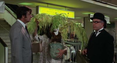 I I think you ought to prepare yourself sir - A New Leaf