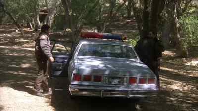 I'll go around back. - Jericho
