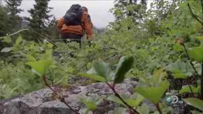 I'M IN GOLD RUSH COUNTRY - Man vs. Wild