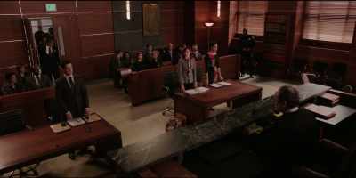 I imagine this is someone
who's going to be testifying - The Good Fight