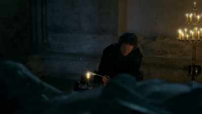 I had imagined I would write
of triumph on my Progress, - The White Princess