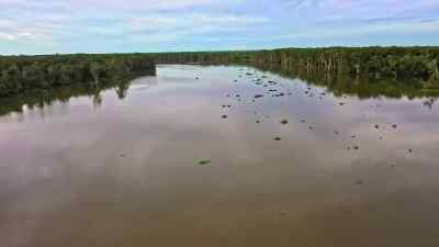            In amelia... - Swamp People