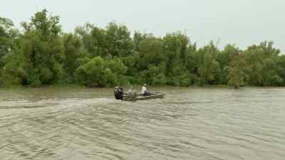 In Bayou Cache, - Swamp People