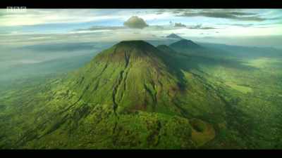I was in the Virunga Mountains, - Extinction: The Facts