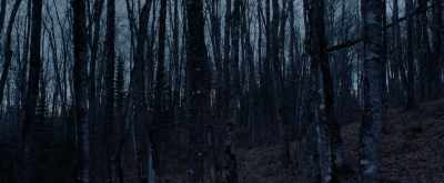 I invoke you
and call upon you - Pyewacket