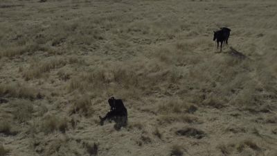Is this real? - Westworld