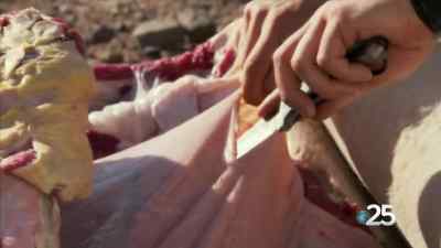 IT'S BEEN A LONG, COLD NIGHT. - Man vs. Wild