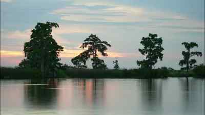 It's another sweltering day
on the bayou. - Swamp People