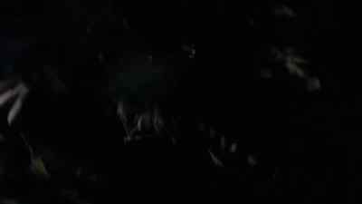 Jimmy! - Cursed