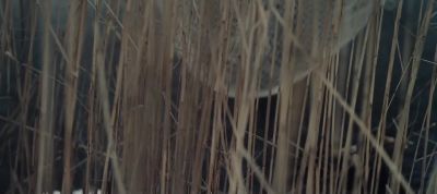 John Wick, Excommunicado. - Midway