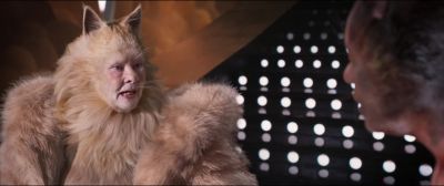 I judge a cat by its soul - Cats