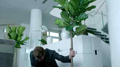 Just a rattle, right? - Limitless