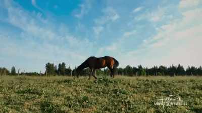 I just assumed that
we'd live at your place, - Big Sky River: The Bridal Path
