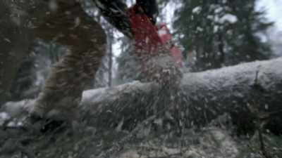 I just bucked up that
small tree as firewood. - Life Below Zero: Next Generation