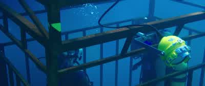 I just don't feel safe in this cage. - 47 Meters Down
