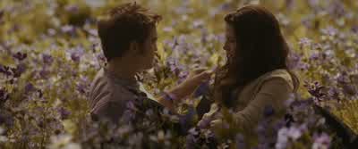 I just don't know why you're doing this. - The Twilight Saga: Eclipse