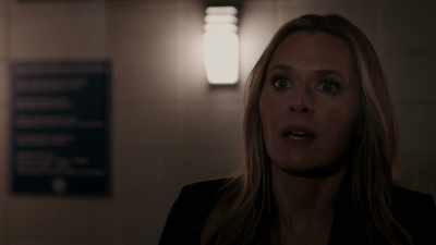 I just don't want you to make
a mistake by going to jail - Psych 2: Lassie Come Home