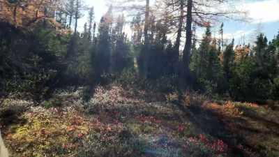 I just found
a pretty good shelter spot. - Alone: Frozen