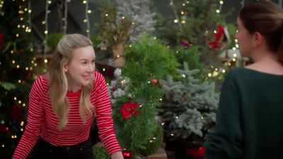 I just-- I look at these trees, - Meet Me Under the Mistletoe