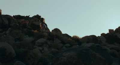 I just, you know, was hiking
around and saw those rocks, - The Dead Thing