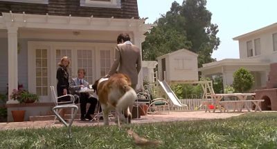 I just love these big dumb animals - Beethoven