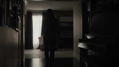 I just received a copy
of a restraining order - The Surrogate Scandal
