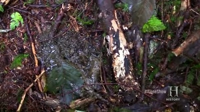 I just stepped in
fresh bear crap. - Alone