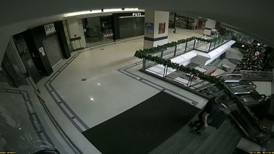 I was just terrified and scared. - Killers: Caught on Camera