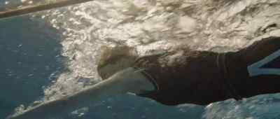 I just think he has talent and
it would be mutually beneficial - Young Woman and the Sea