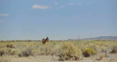 I was just thinking about uh...
my friend back in Spokane. - Lean on Pete