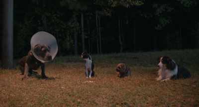 I just threw up over there,
so there might be - Strays